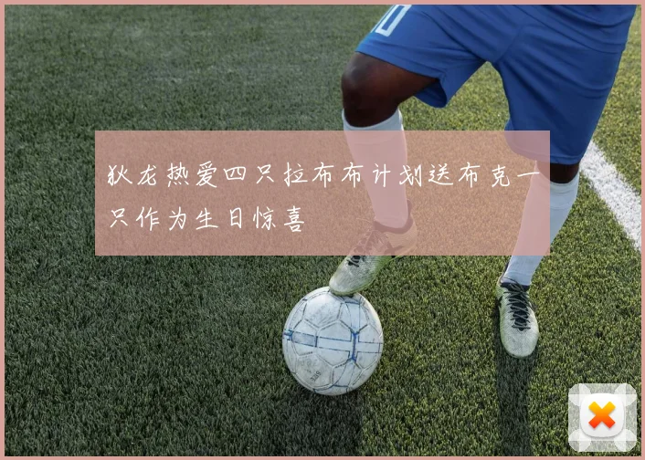 狄龙热爱四只拉布布计划送布克一只作为生日惊喜